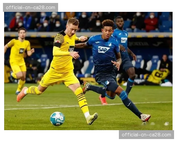 霍芬海姆迎战多特蒙德，冲击欧冠区关键战